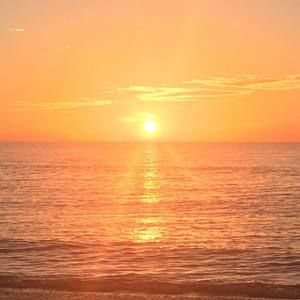 Meet your Posher, Jane